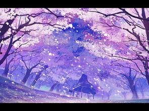 日本日本樱花漫画,一场穿越时空的日本漫画之旅