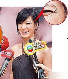 av女星手臂纹鲤鱼,探寻AV女星独特魅力