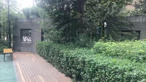 外景视频,外景视频中的视觉盛宴