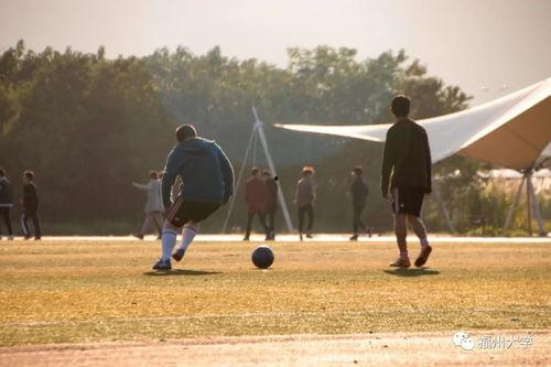 操场运动视频爆料,揭秘校园运动风采瞬间