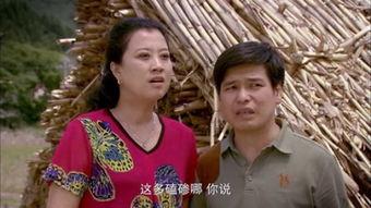 豆腐西施迎接老公的配乐,浪漫配乐奏响幸福序章