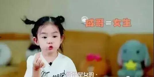 明星哪家孩子最多,哪家孩子最多，揭秘明星家庭规模之谜