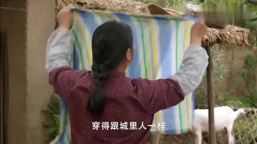 卖米大妈邻居爆料视频,邻里间的温馨互动引发网友热议