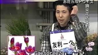 霸花店在线播放,花海中的爱情传奇